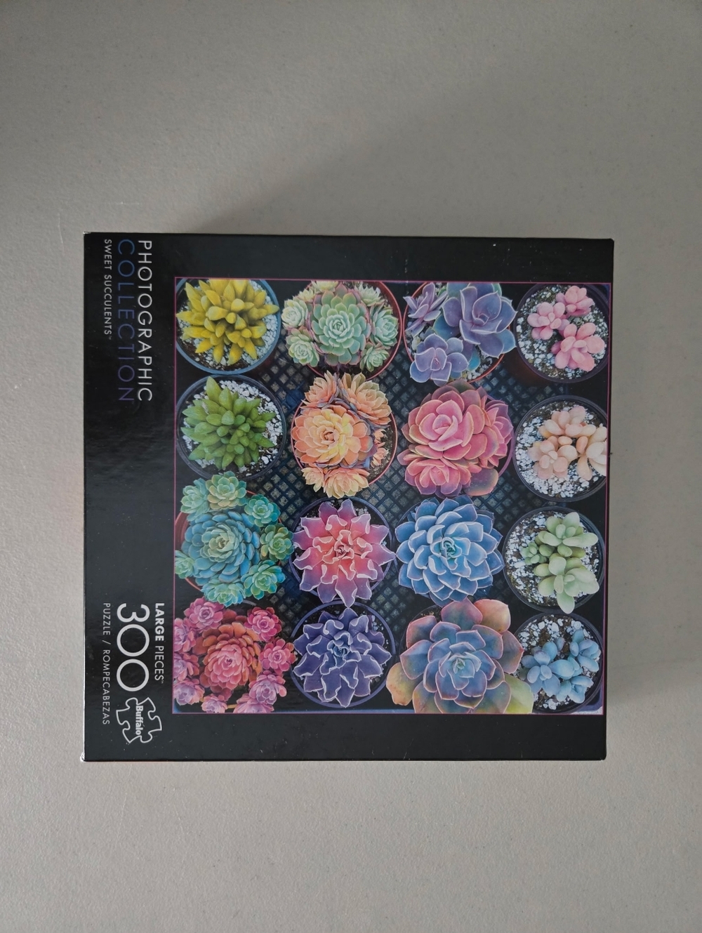 Photographic Collection 300-Piece Succulent Puzzle - Multicolor